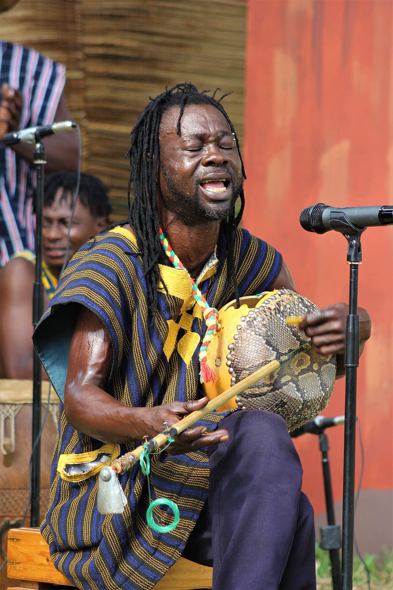 The Musician